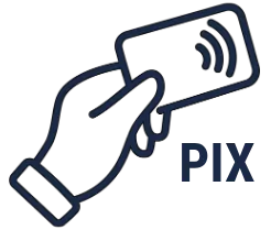 Pagamento com Cartão Alvo ou Pix